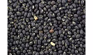 Black Gram Beans (Urad Dal)