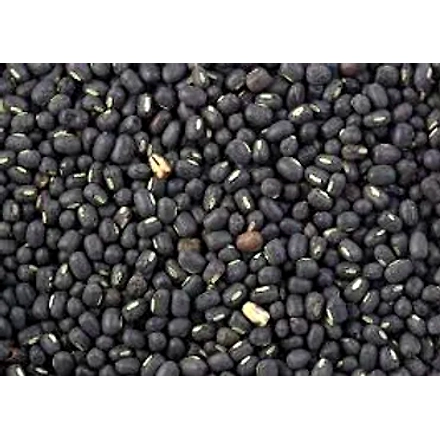Black Gram Beans (Urad Dal)-1