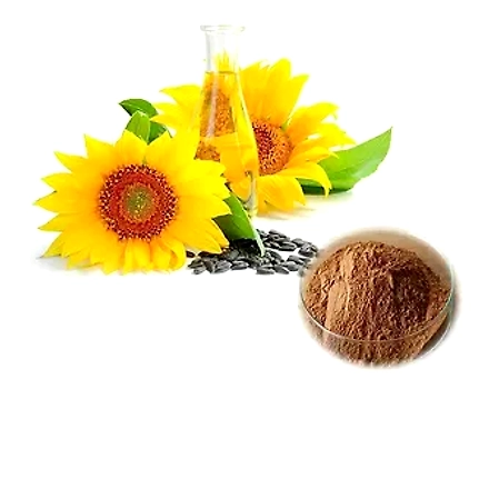 Sunflower extract(dry/liquid)-12147976