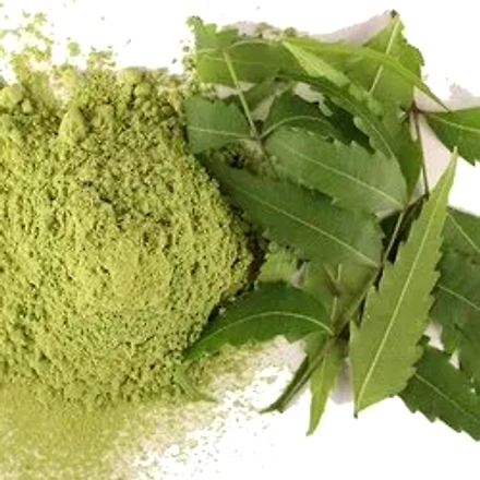Neem Extracts Dry/Liquid-1