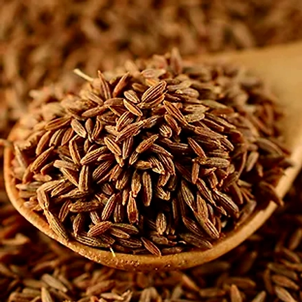 Cumin seed-12152136