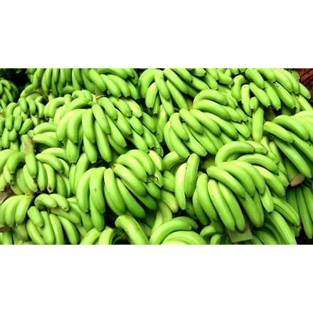 Raw Banana-12159300