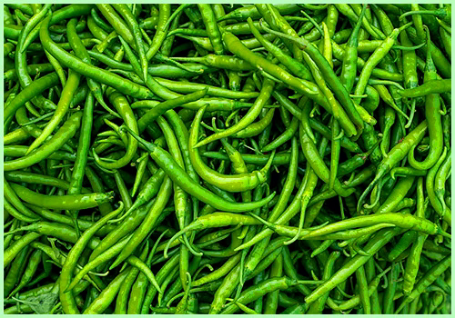 Green Chiily image 1