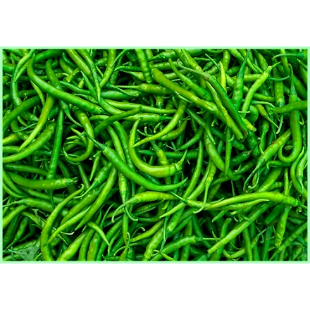 Green Chiily-12159342