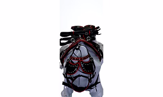 Horse Driving Harness Set Nylon Iron Fitting