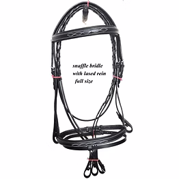 leather bridle with rein