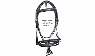 Leather Bridle with Rein