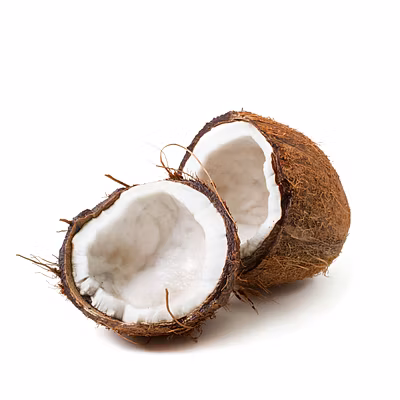 coconut copra-2