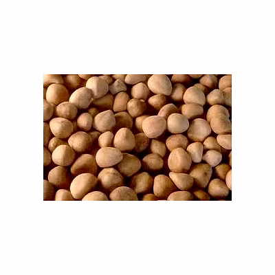 coconut copra-3