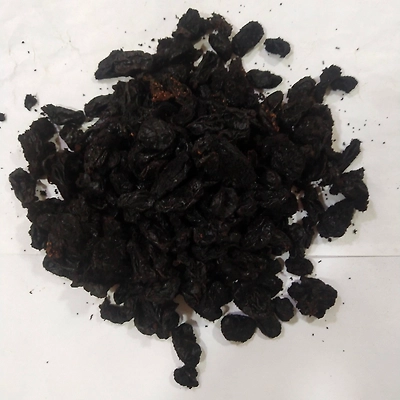 Kala Draksh-12162340