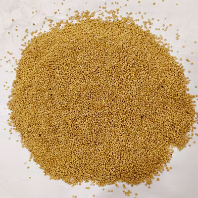 Quinoa-12164602