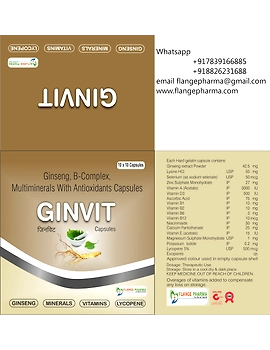 Ginseng Multi Vitamin with Vitamin B-12229982-sm