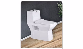COMBO ONE PIECE TOILET