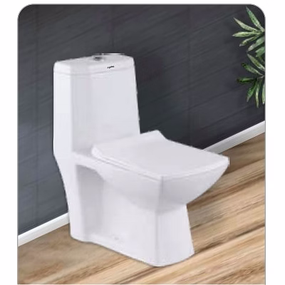 crystal one piece toilet