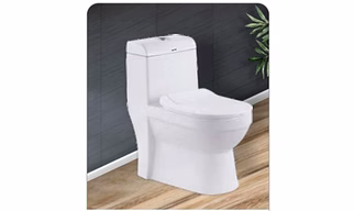 TERRA ONE PIECE TOILET