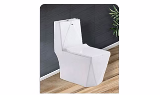 DAIMOND ONE PIECE TOILET