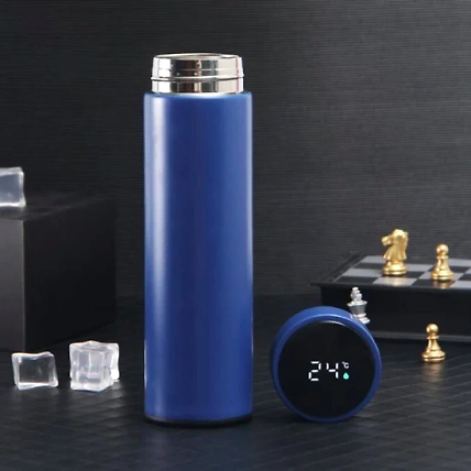 Stainless Steel Temperature Water Bottle 500 Ml-2