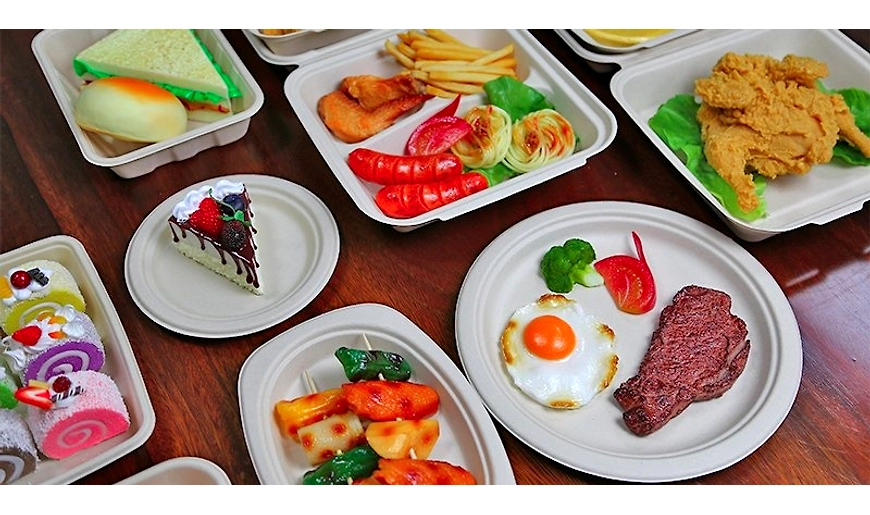 Bagasse Tableware