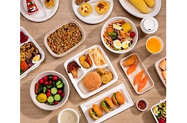 Manufacturers of Sugarcane bagasse plates