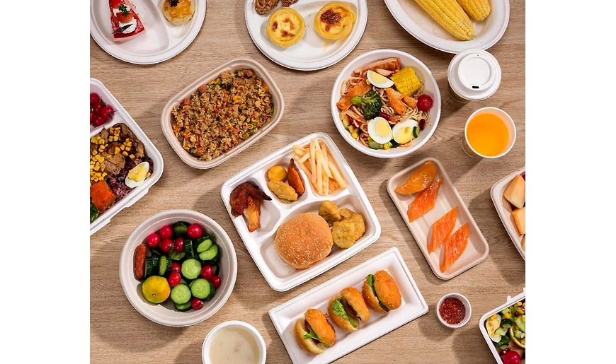 Manufacturers of Sugarcane bagasse plates