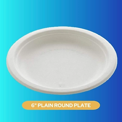 6&quot; PLAIN ROUND SUGARCANE BAGASSE PLATE-3