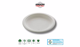 6" PLAIN ROUND SUGARCANE BAGASSE PLATE