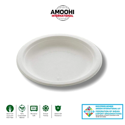 6&quot; PLAIN ROUND SUGARCANE BAGASSE PLATE-ABW60001