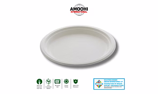 10" PLAIN ROUND SUGARCANE BAGASSE PLATE
