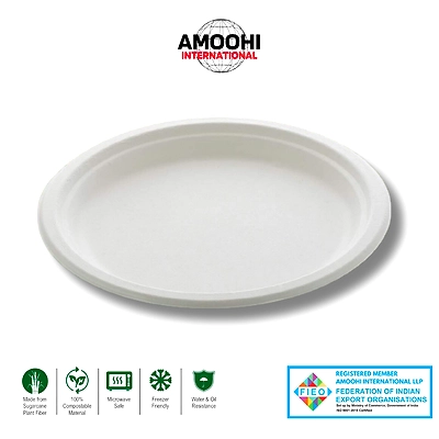 10&quot; PLAIN ROUND SUGARCANE BAGASSE PLATE-ABW10007
