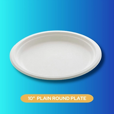 10&quot; PLAIN ROUND SUGARCANE BAGASSE PLATE-2