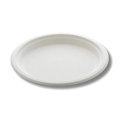 10&quot; PLAIN ROUND SUGARCANE BAGASSE PLATE-3