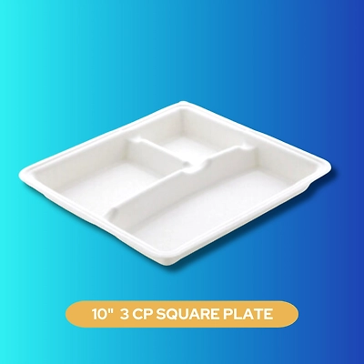 10&quot; 3 CP SQUARE SUGARCANE BAGASSE PLATE-1
