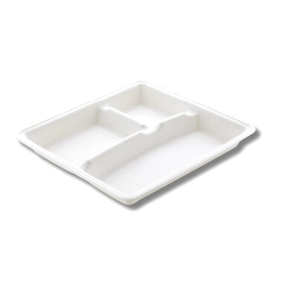 10&quot; 3 CP SQUARE SUGARCANE BAGASSE PLATE-2