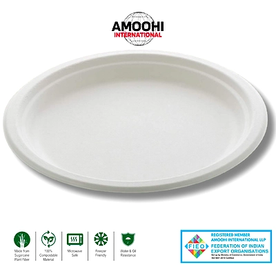12&quot; PLAIN ROUND SUGARCANE BAGASSE PLATE-ABW12012