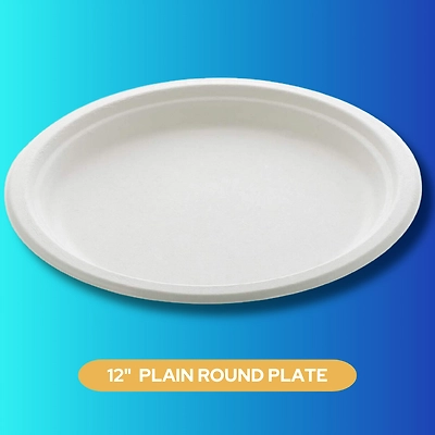 12&quot; PLAIN ROUND SUGARCANE BAGASSE PLATE-2
