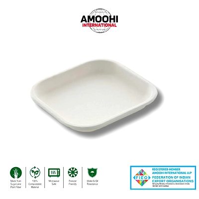 7&quot; SQUARE SUGARCANE BAGASSE PLATE-ABW70016