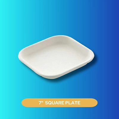 7&quot; SQUARE SUGARCANE BAGASSE PLATE-1