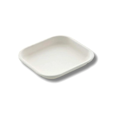 7&quot; SQUARE SUGARCANE BAGASSE PLATE-2