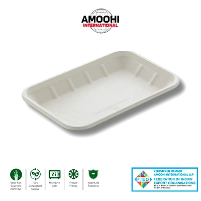 2D TRAY RECTANGULAR SUGARCANE BAGASSE-ABW20018