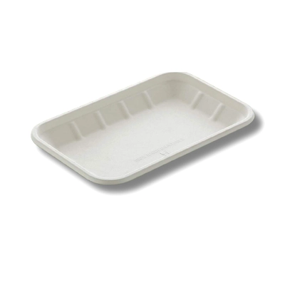 2D TRAY RECTANGULAR SUGARCANE BAGASSE-2