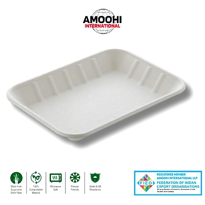 4D TRAY RECTANGULAR SUGARCANE BAGASSE-ABW40019