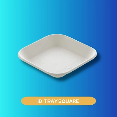 1D TRAY SQUARE SUGARCANE BAGASSE-1