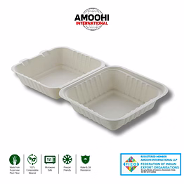 amoohi 6x6 clamshell (burger box) sugarcane bagasse