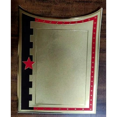 Gold Plated Trophy Sheets-2