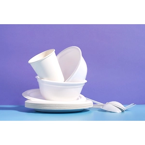 Bagasse Disposal Plates and Bowls