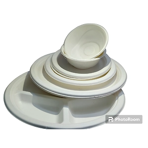 Bagasse Plates and Bowls