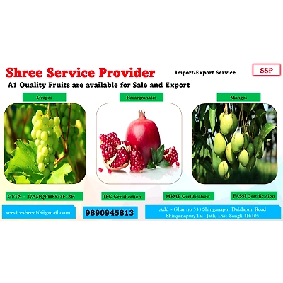 All types of fruits-12215870