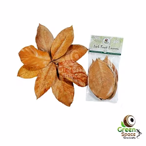Big Size Dried Jack Fruit Leaves