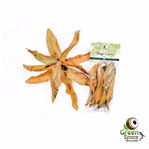 Big Size Dried Mangos Leaves
