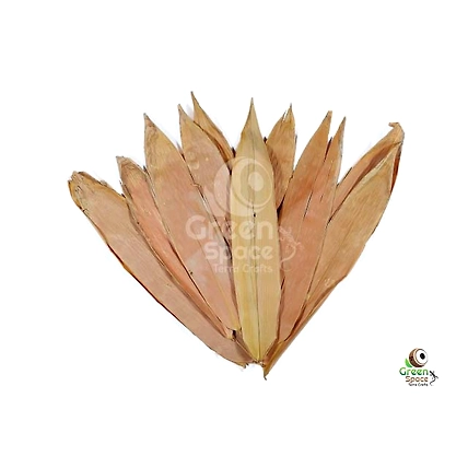 Mix Size Dried Bamboo Leaves-1
